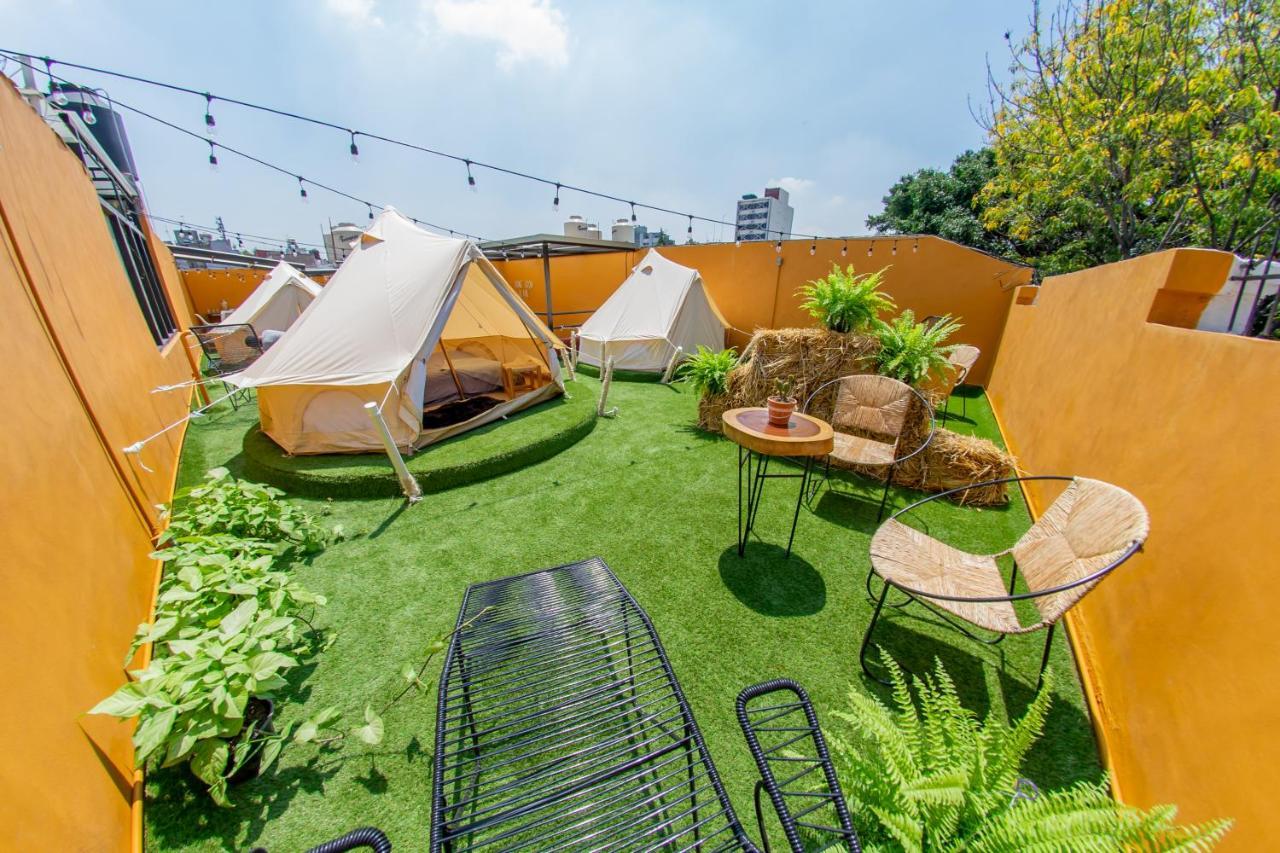 Kasa Kaktus Guest house Mexico City