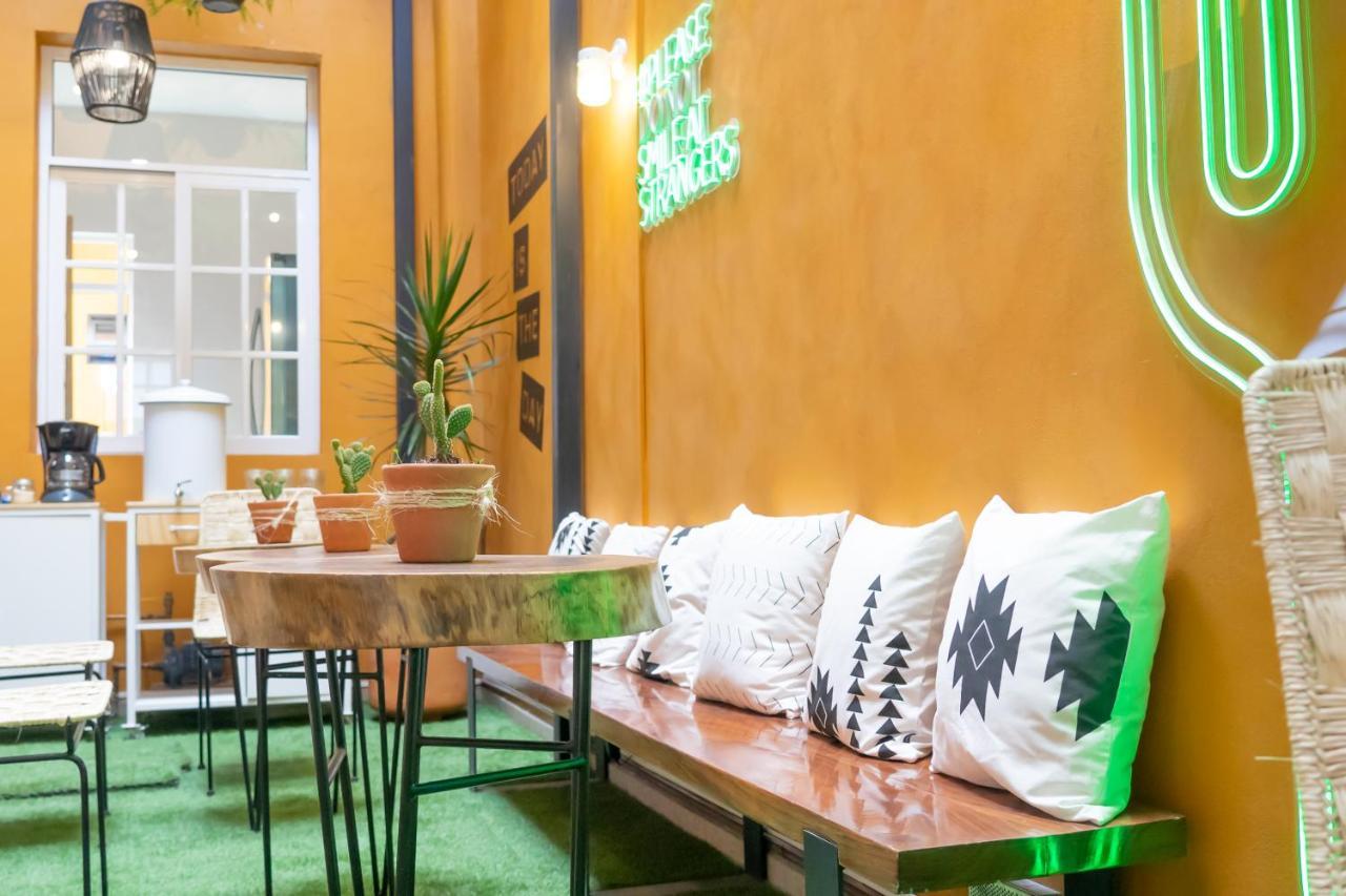 Kasa Kaktus Guest house Mexico City